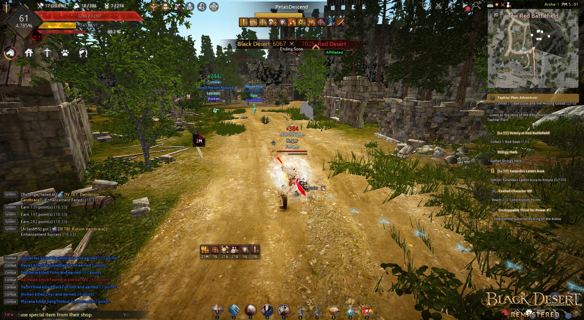 [Screenshots & Clips] [Black Desert 1st Anniversary]RBF Black Desert