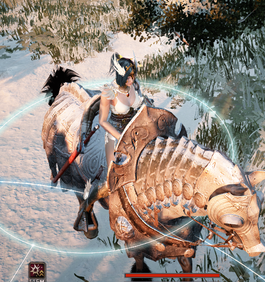 [General Gameplay] Venslar armor cape bug