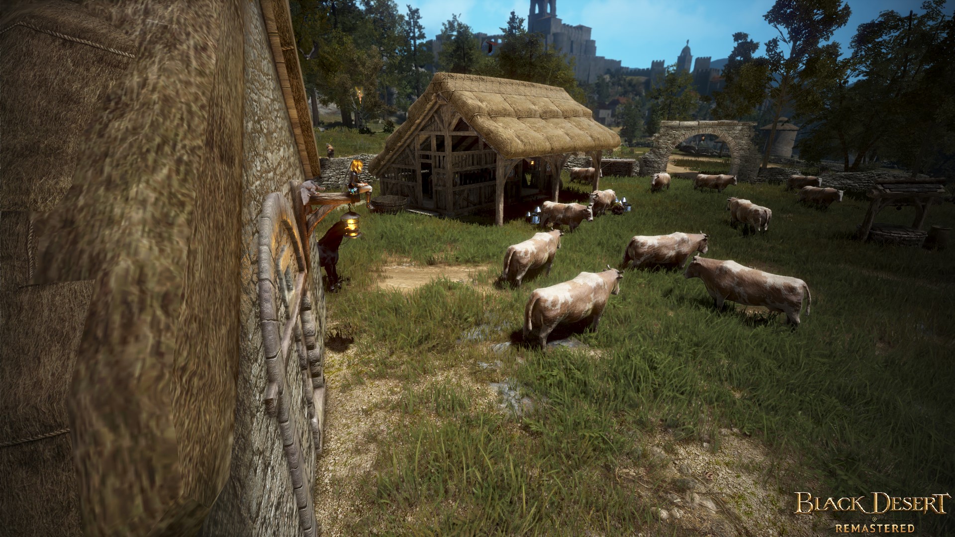 [Screenshots & Clips] [Mine] Chilling Spot Black Desert Southeast Asia