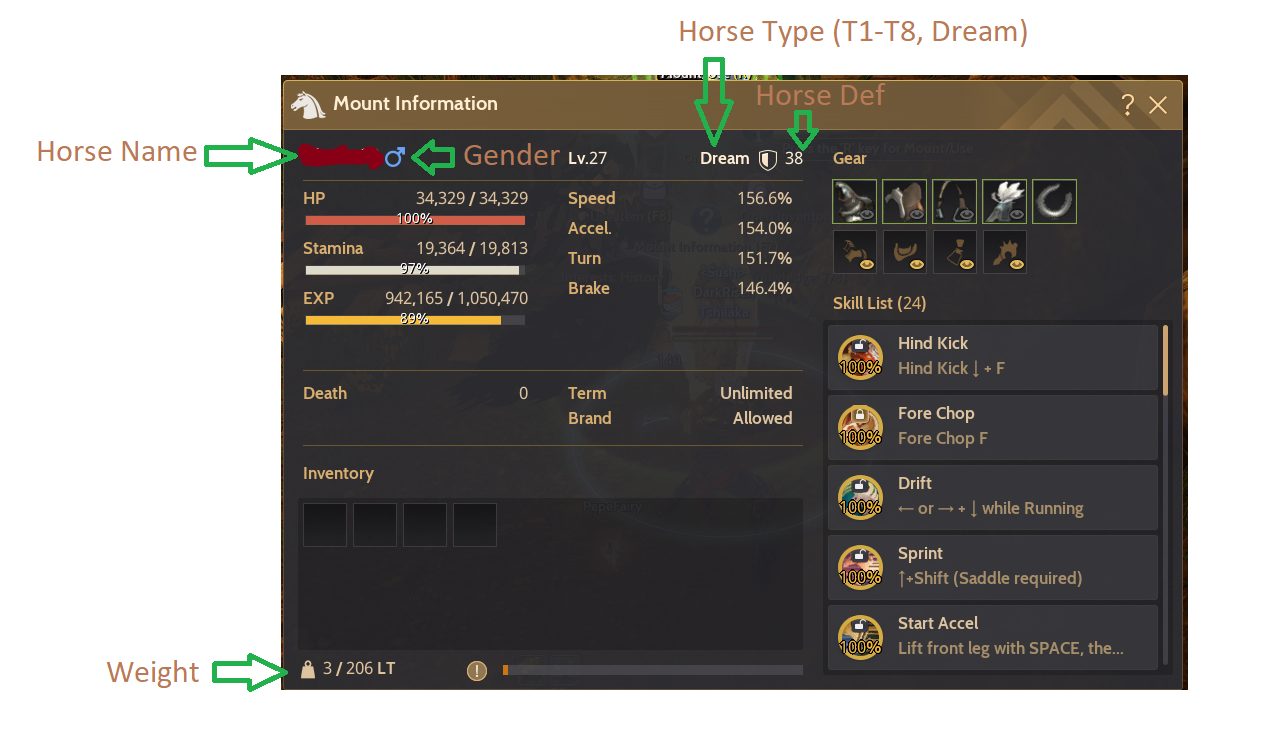 [Game Play] BDO Horse Series EP1 Black Desert Southeast Asia
