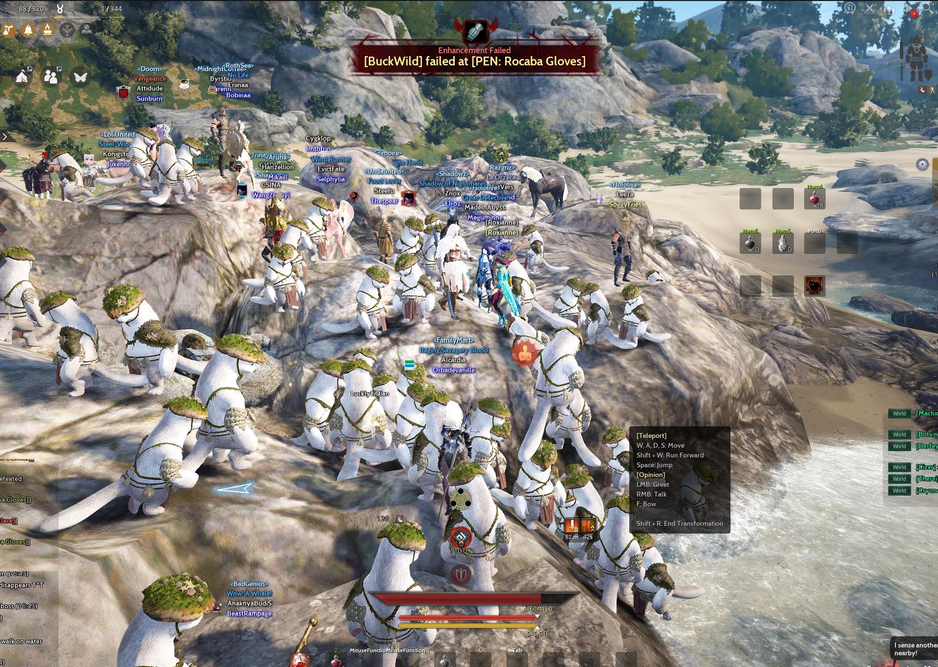 [Screenshots & Clips] [Slippery Scallywags] | Black Desert Asia (TH/SEA)