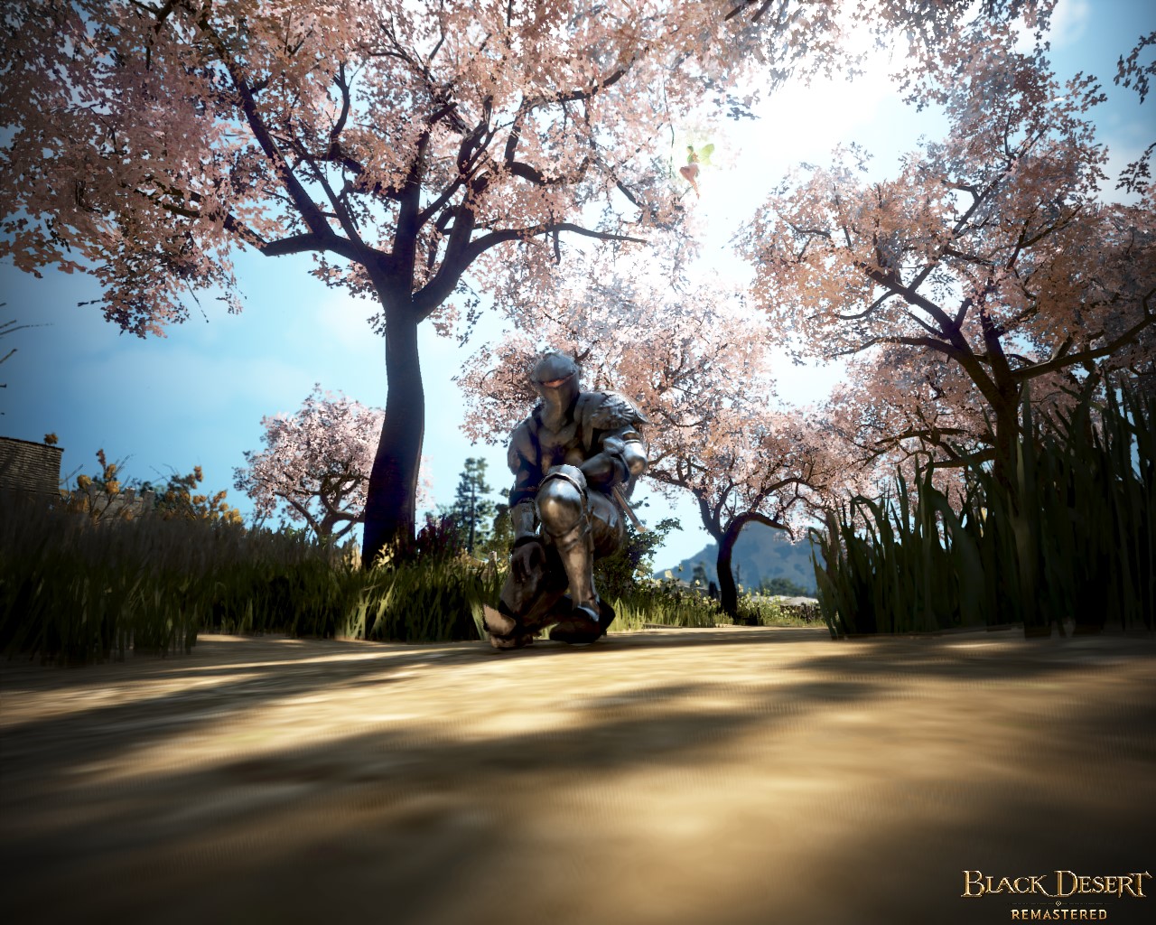 [Screenshots & Clips] Cherry Blossoms | Black Desert Asia (TH/SEA)