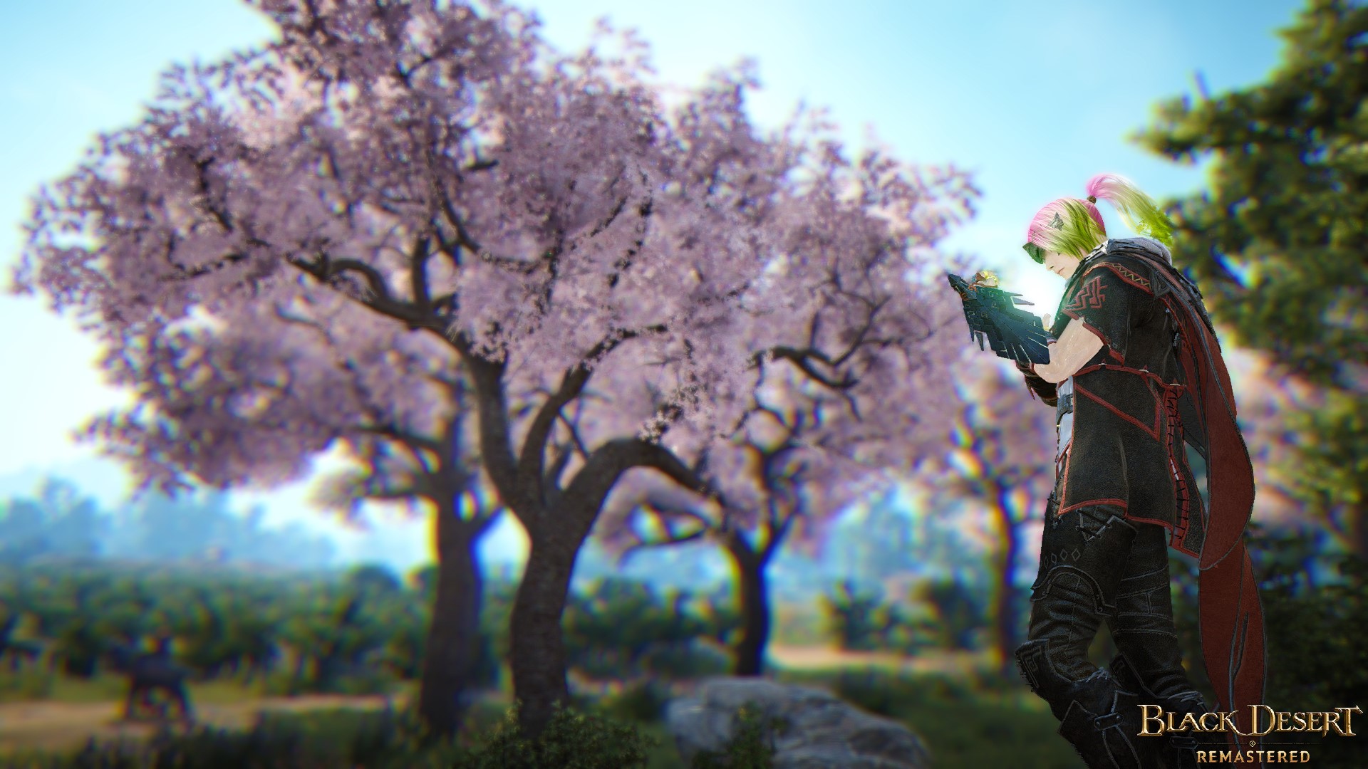 [Screenshots & Clips] [Cherry Blossoms] Waiting to Bloom Black Desert
