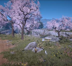 [Screenshots & Clips] [Spring] Spring Roll | Black Desert Asia (TH/SEA)