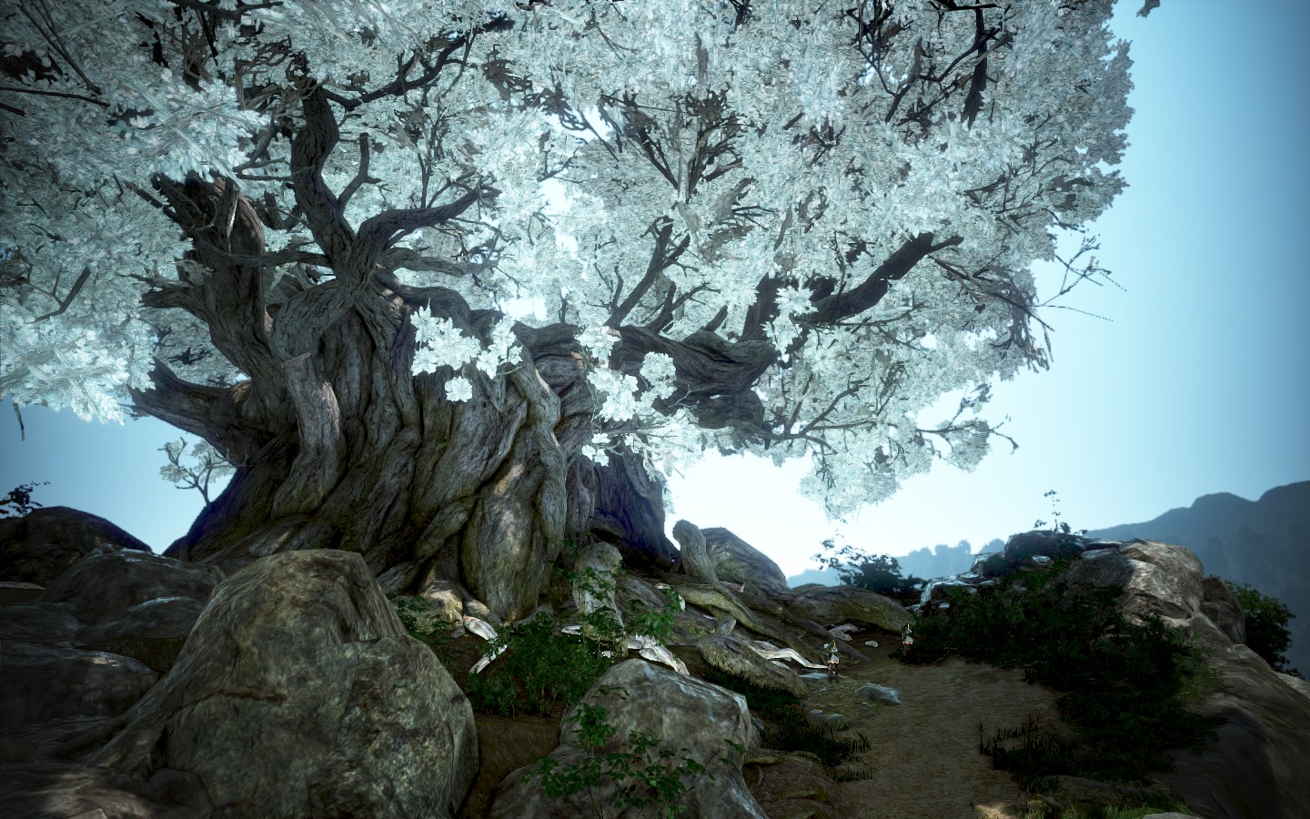 [สกรีนช็อต/วิดีโอ] [ท่องโลก] ต้นไม้ใหญ่คามาซิลฟ์ | Black Desert Asia ...