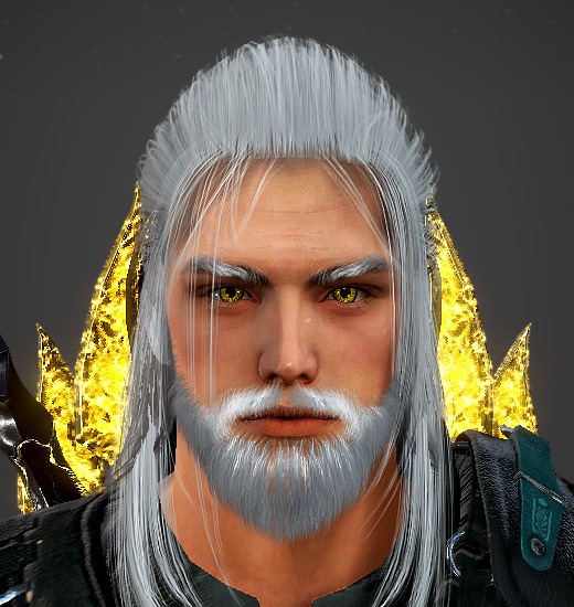Could be Witcher
