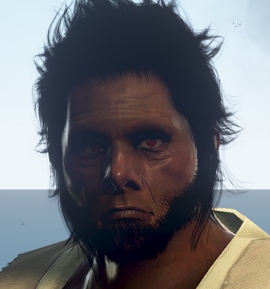 H omo Erectus