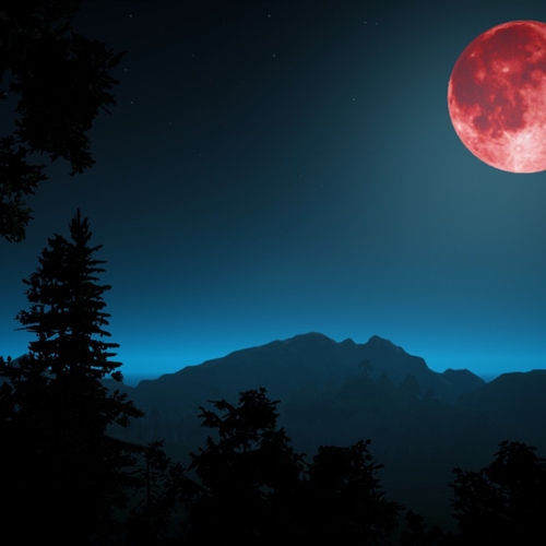 scs_3_25103102480860974_thumb