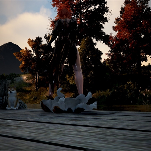 scs_1_25100510172049069_thumb