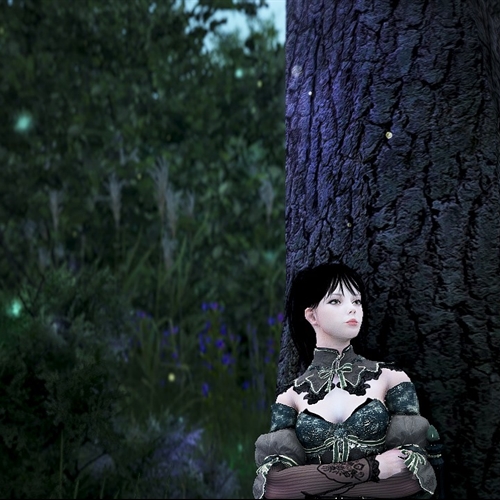 scs_1_25111806464586039_thumb