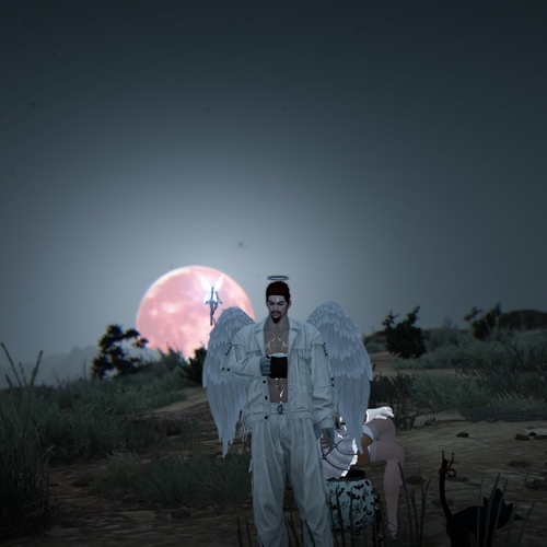 scs_1_25110202402285790_thumb