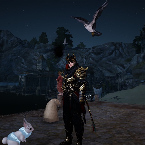 scs_1_2511090252345501_thumb