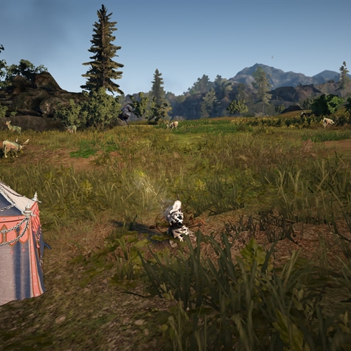 scs_1_25121602065705048_thumb