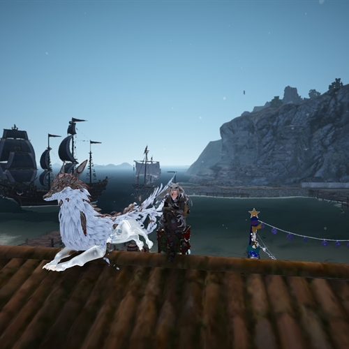 scs_1_25121804191902618_thumb