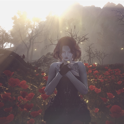 scs_1_25121808470616520_thumb