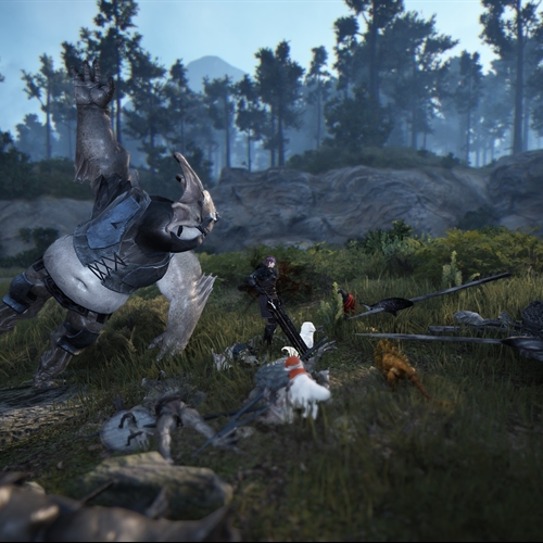 scs_2_25121807283556764_thumb