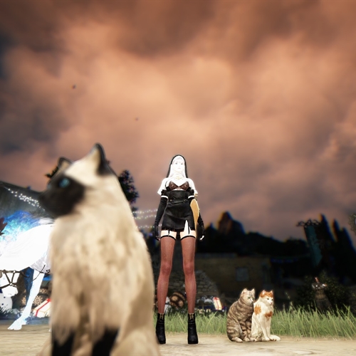 scs_1_25122002341011483_thumb