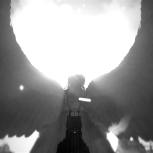 scs_1_25123111343778734_thumb