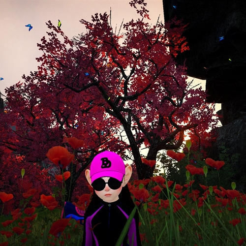 scs_1_25080202202656196_thumb