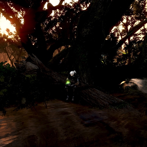 scs_3_25082002220226912_thumb
