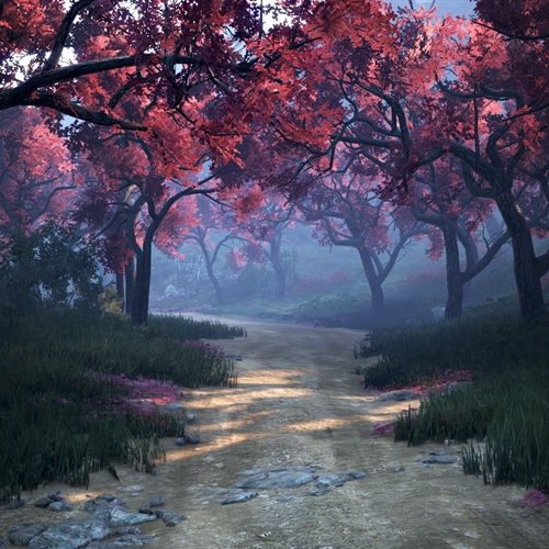 scs_3_25082301185310237_thumb