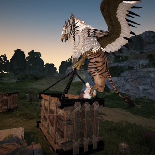 scs_1_25083102263910050_thumb