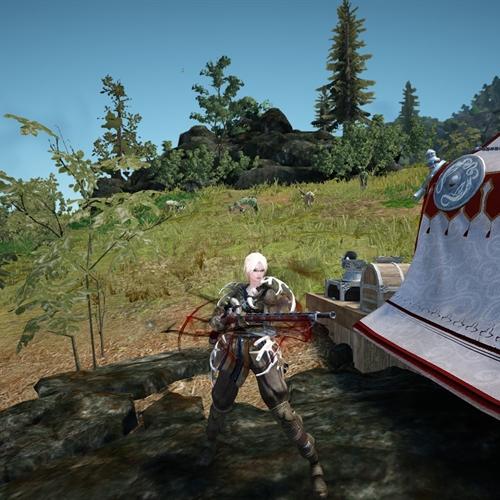 scs_1_25091205144936760_thumb