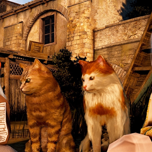 scs_3_26011411114007927_thumb