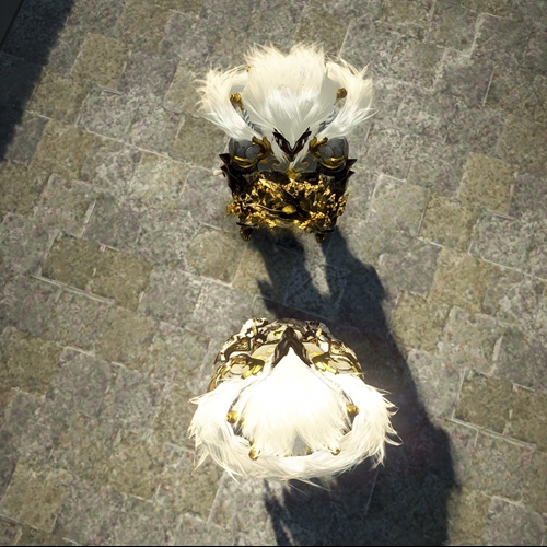 scs_6_26012807481761638_thumb