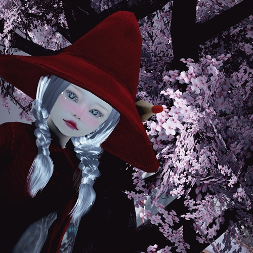 scs_1_26031906490551196_thumb