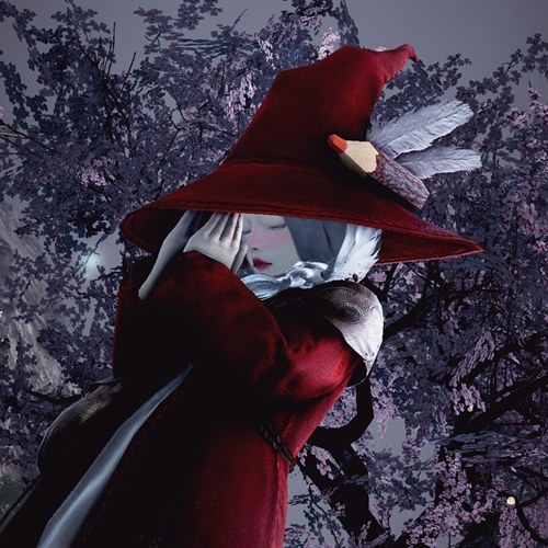 scs_3_26032208141357926_thumb