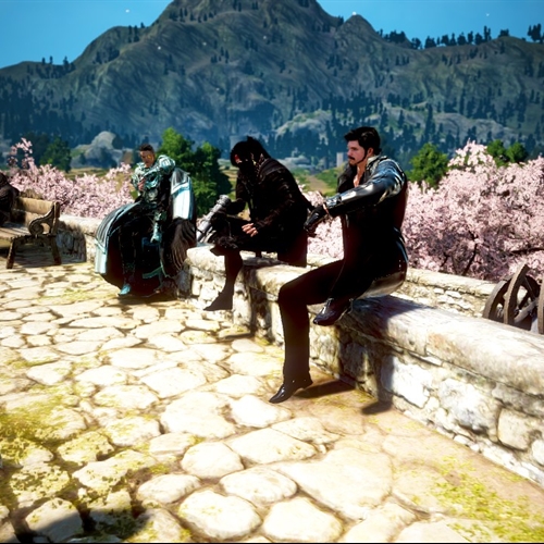 scs_1_26033009223766373_thumb