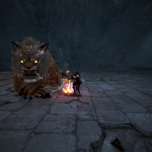 scs_1_26030604420089598_thumb