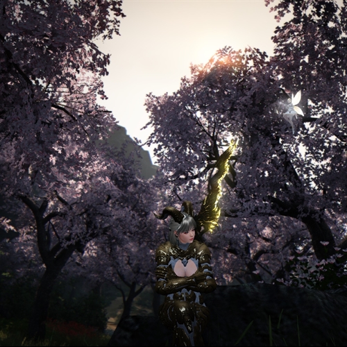 scs_1_26081806034809567_thumb