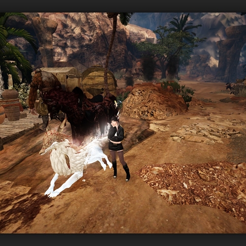scs_1_26082103581019035_thumb