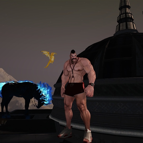 scs_1_26082105494593032_thumb