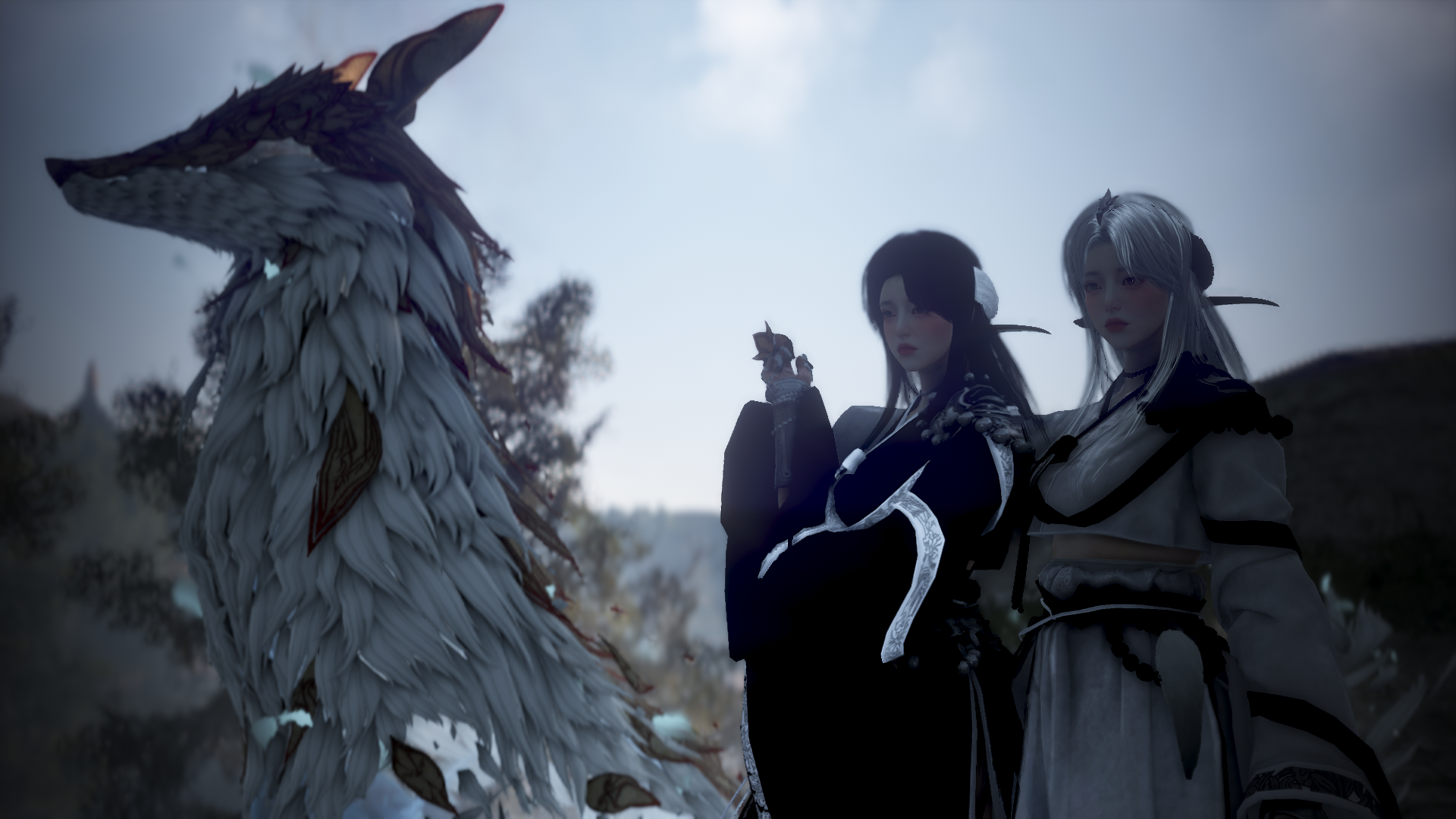 Ekran Görüntüsü & Video] [İkiz Kardeşler] Yin Yang | Black Desert  TurkeyMENA