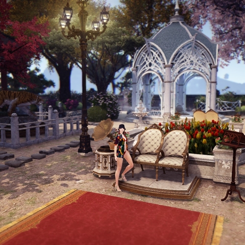 scs_1_24121401442825749_thumb