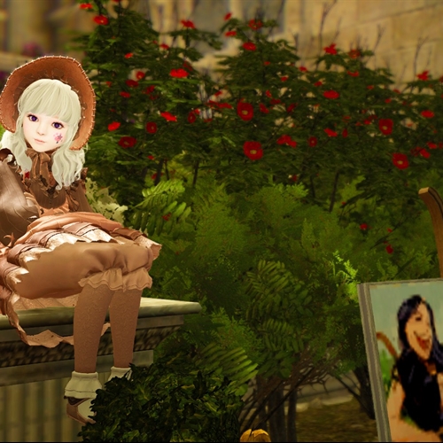 scs_1_25101407311498061_thumb
