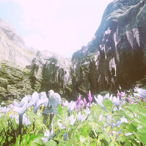 scs_1_25101810481164678_thumb