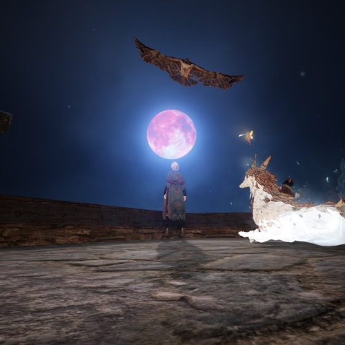 scs_3_25101811520542674_thumb