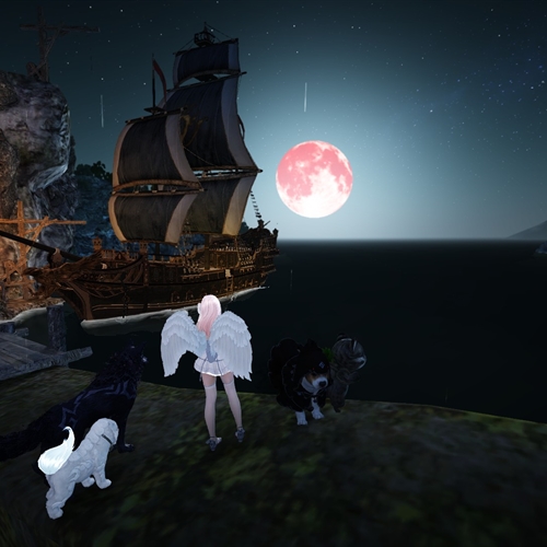 scs_1_25101907424860948_thumb