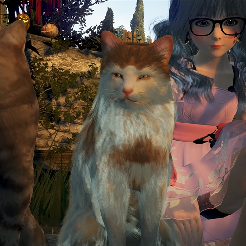 scs_1_25102008072850180_thumb