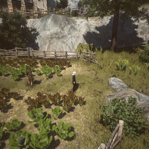 scs_1_25102401235782551_thumb