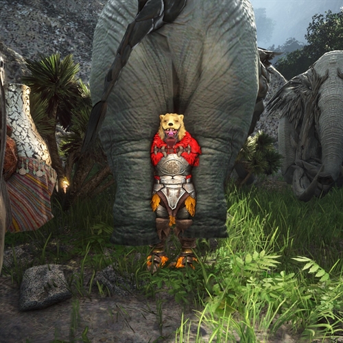 scs_2_25110204524542040_thumb