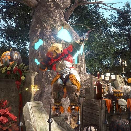 scs_3_25110205011228638_thumb