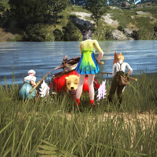 scs_5_25110205041736380_thumb