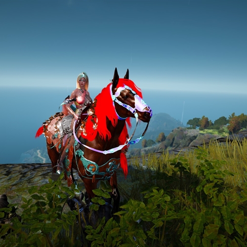 scs_1_25112302364929952_thumb