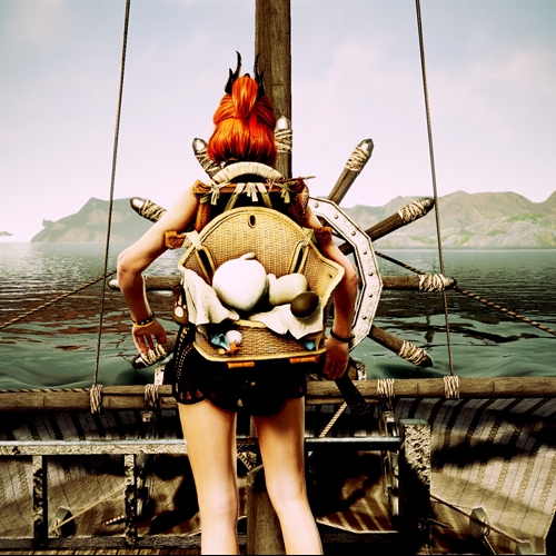 scs_1_25121207363849887_thumb