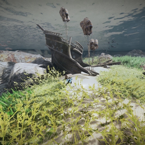 scs_1_25121312173470277_thumb